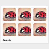 Ladybug Vierkante Sticker (Vel)