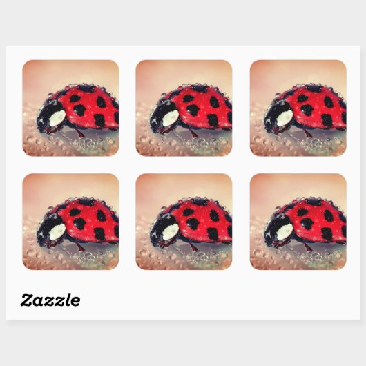 Ladybug Vierkante Sticker (Vel)