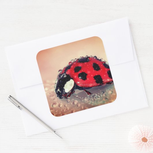 Ladybug Vierkante Sticker (Envelop)