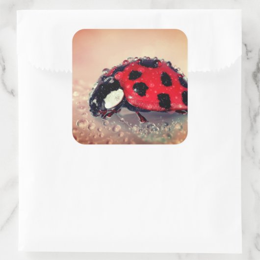 Ladybug Vierkante Sticker (Tas)