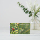 Ladybug Visitekaartje (Staand voorkant)
