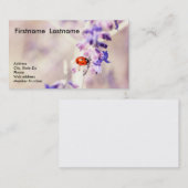 Ladybug-Visitekaartje Visitekaartje (Voorkant / Achterkant)