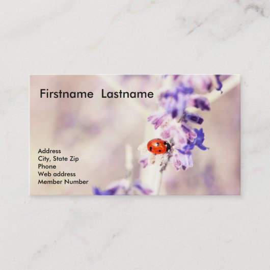 Ladybug-Visitekaartje Visitekaartje (Voorkant)