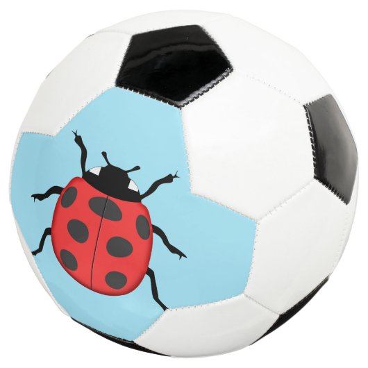 Ladybug Voetbal (Drie kwart)