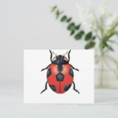 Ladybug voetbal briefkaart (Staand voorkant)