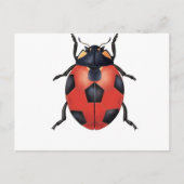 Ladybug voetbal briefkaart (Voorkant)
