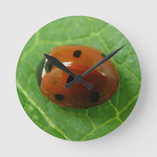 Ladybug Wall Clock Ronde Klok (Voorkant)