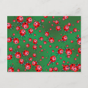 Ladybug Wallpaper Briefkaart