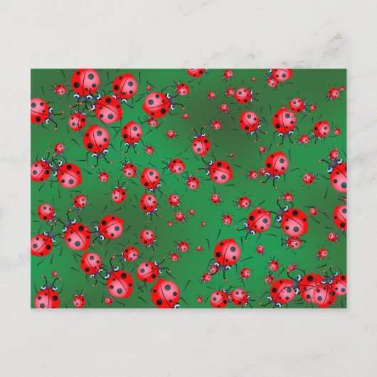 Ladybug Wallpaper Briefkaart (Voorkant)