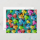 Ladybug Wallpaper Briefkaart (Voorkant / Achterkant)