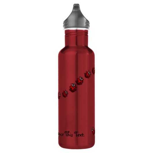 Ladybug Water Bottle Ladybug / Ladybird Art Bottle Waterfles (Rechts)