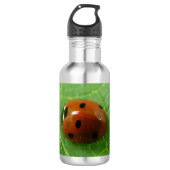 Ladybug Waterfles (Voorkant)