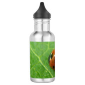 Ladybug Waterfles (Links)