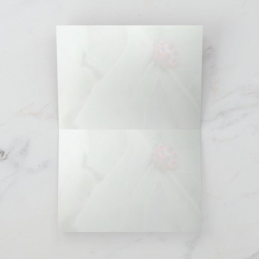 Ladybug — Wenskaart Kaart (Binnen)