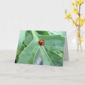 Ladybug — Wenskaart Kaart (Gele Bloem)