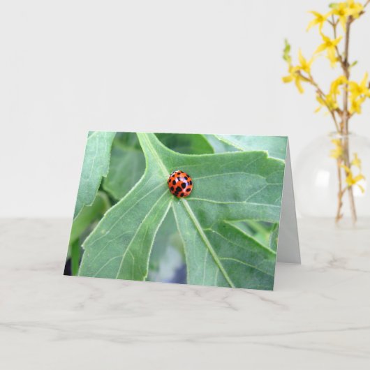Ladybug — Wenskaart Kaart (Gele Bloem)