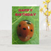 Ladybug  Wenskaart Kaart (Gele Bloem)