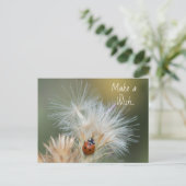 Ladybug Wish briefkaart (Staand voorkant)