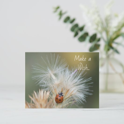 Ladybug Wish briefkaart (Staand voorkant)