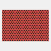 Ladybug Wrapping Papierset van 3 Inpakpapier Vel (Voorkant 2)