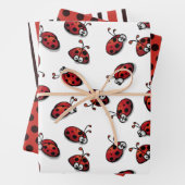 Ladybug Wrapping Papierset van 3 Inpakpapier Vel (In situ)