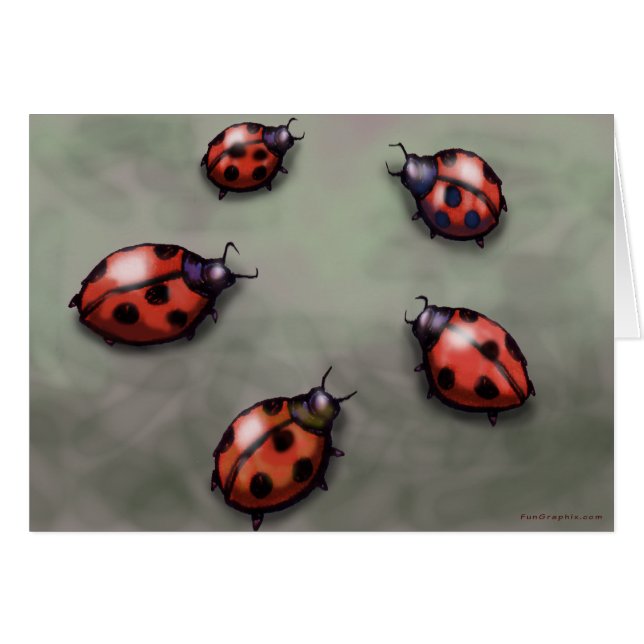 Ladybugs (Voorkant Horizontaal)
