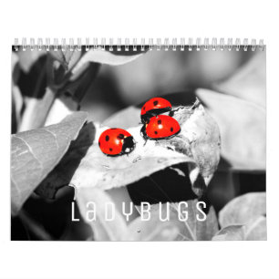 Ladybugs [1] Wall Calendar Kalender