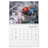 Ladybugs [1] Wall Calendar Kalender (Feb 2026)