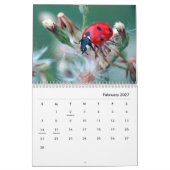 Ladybugs [2] Wall Calendar Kalender (Feb 2027)