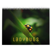 Ladybugs [2] Wall Calendar Kalender (Hoes)