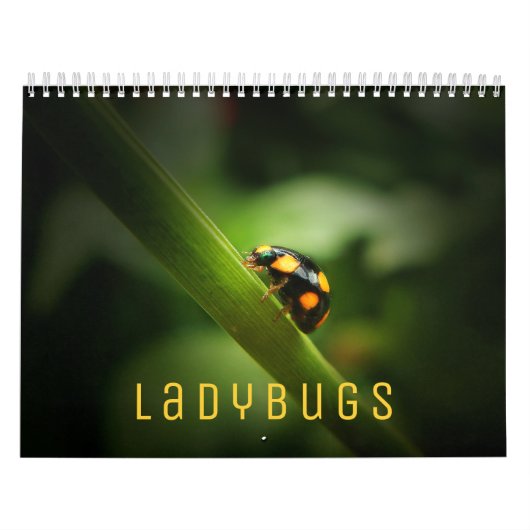 Ladybugs [2] Wall Calendar Kalender (Hoes)