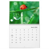 Ladybugs [2] Wall Calendar Kalender (Mar 2026)