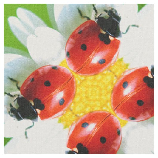 Ladybugs Art 1 Stof (Close Up)