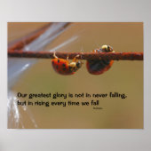 Ladybugs Attitude Inspirerend Confucius Quote Poster (Voorkant)