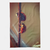 Ladybugs balanceren close theedoek (Verticaal)