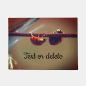 Ladybugs balanceren Sluiten Aangepast op Deurmat (Voorkant)