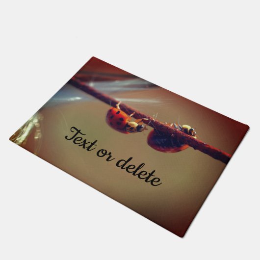 Ladybugs balanceren Sluiten Aangepast op Deurmat (Schuin)