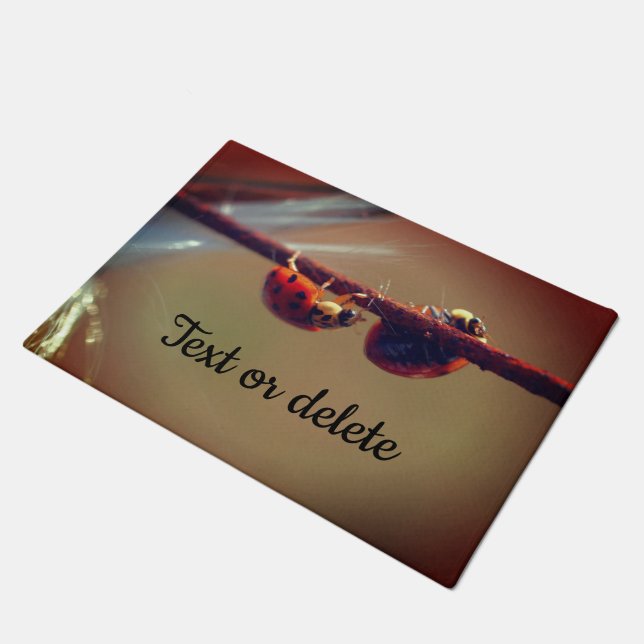 Ladybugs balanceren Sluiten Aangepast op Deurmat (Schuin)