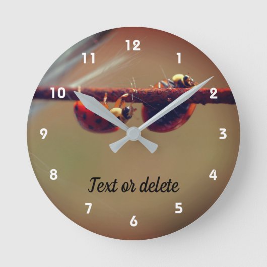 Ladybugs balanceren Sluiten Aangepast op Ronde Klok (Voorkant)