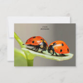 Ladybugs Beetles Flat Hartelijk dank Bedankkaart (Achterkant)