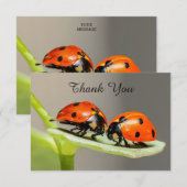 Ladybugs Beetles Flat Hartelijk dank Bedankkaart (Voorkant / Achterkant)