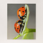 Ladybugs Beetles Jigzaag Puzzle Legpuzzel (Verticaal)
