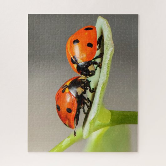 Ladybugs Beetles Jigzaag Puzzle Legpuzzel (Verticaal)