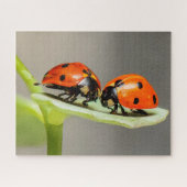 Ladybugs Beetles Jigzaag Puzzle Legpuzzel (Horizontaal)