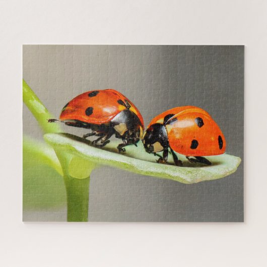 Ladybugs Beetles Jigzaag Puzzle Legpuzzel (Horizontaal)