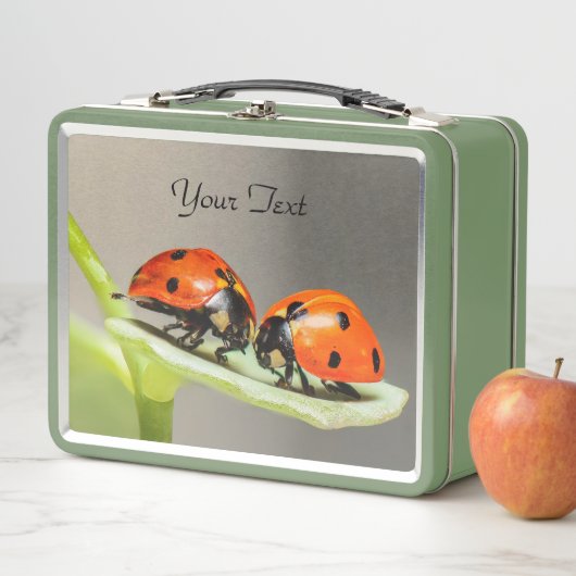 Ladybugs Beetles Metal Lunch Box (In situ)
