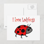 Ladybugs Briefkaart (Voorkant / Achterkant)