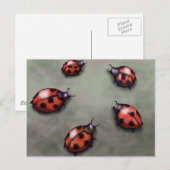 Ladybugs Briefkaart (Voorkant / Achterkant)
