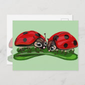 Ladybugs briefkaart (Voorkant / Achterkant)