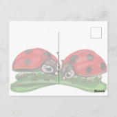 Ladybugs briefkaart (Achterkant)